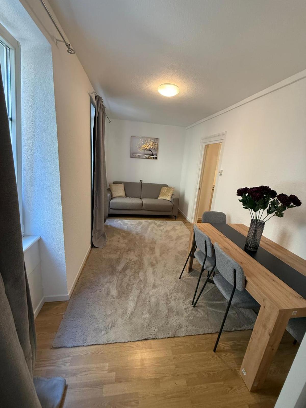 Bliss Basel Residence Binningen Экстерьер фото